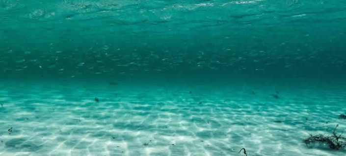 Überraschende Entdeckung: Tiefseeknollen als Sauerstoffquelle