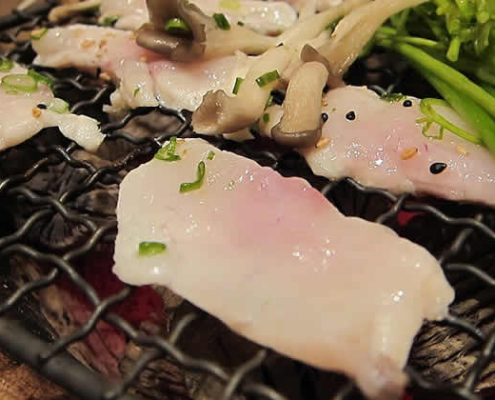 Fugu: Japans tödliche Delikatesse