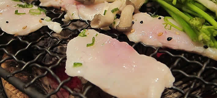 Fugu: Japans tödliche Delikatesse
