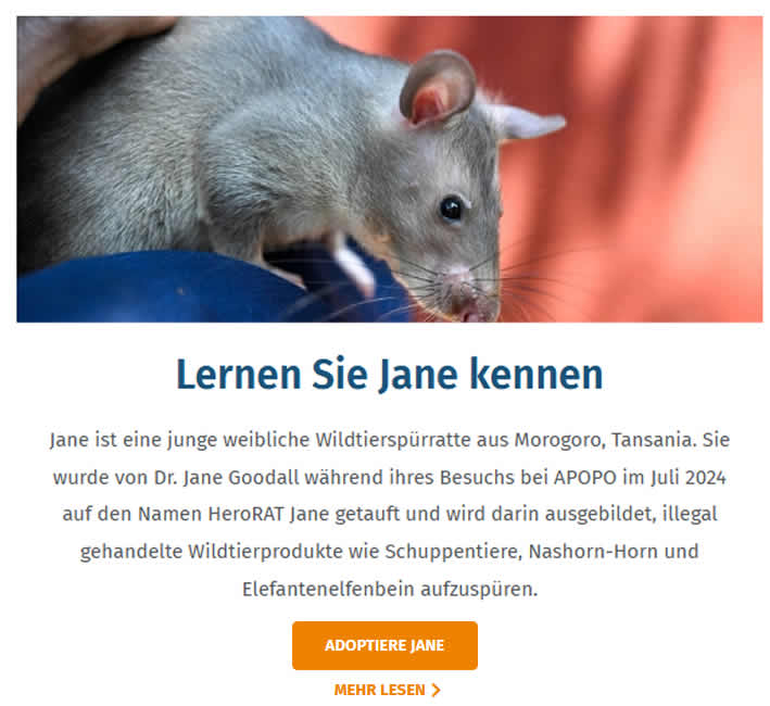 Wildtierspürratte Jane