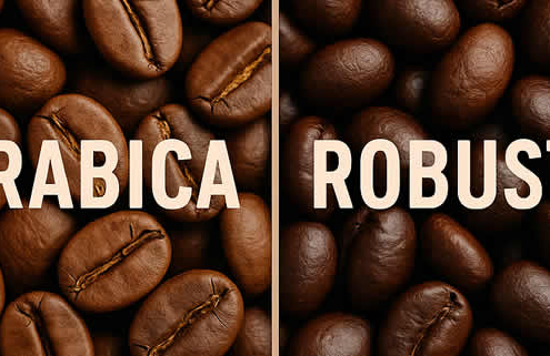 Arabica vs. Robusta: Der große Unterschied zwischen den beliebtesten Kaffeebohnen