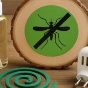 Die beste Strategie gegen Mücken