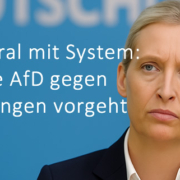 Doppelmoral mit System: Wie die AfD gegen Beleidigungen vorgeht – und dabei ein Gesetz nutzt, das sie abschaffen will