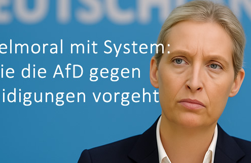 Doppelmoral mit System: Wie die AfD gegen Beleidigungen vorgeht – und dabei ein Gesetz nutzt, das sie abschaffen will