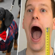 Schräg, schräger, Deutschland – Die verrücktesten Weltrekorde aus der Heimat