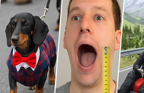 Schräg, schräger, Deutschland – Die verrücktesten Weltrekorde aus der Heimat