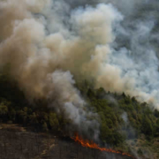 Rekordemissionen durch Waldbrände: Europas Sommer in Flammen
