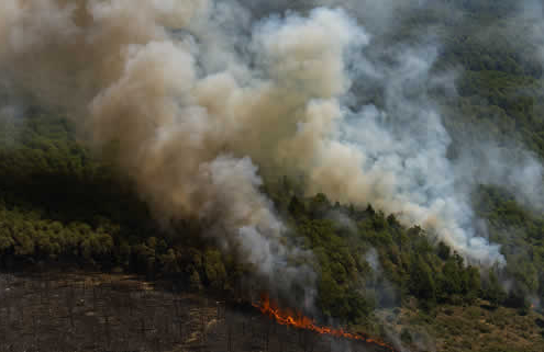 Rekordemissionen durch Waldbrände: Europas Sommer in Flammen