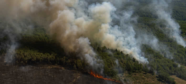 Rekordemissionen durch Waldbrände: Europas Sommer in Flammen