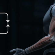 Androiden mit Muskeln: Was Clone Robotics wirklich kann – und was (noch) fehlt