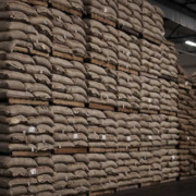 Wenn Rekordpreise auf Rekordarmut treffen: Das Kakao-Barometer 2025 zeigt die Schieflage einer Branche