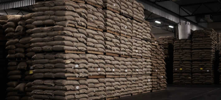 Wenn Rekordpreise auf Rekordarmut treffen: Das Kakao-Barometer 2025 zeigt die Schieflage einer Branche