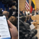 Was Trump lehrt: Wo AfD und MAGA übereinstimmen – und wo das deutsche System anders reagiert